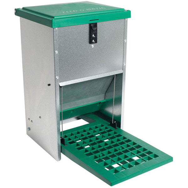 Automatic Chicken Feeder ensuring hands-free, efficient feeding for your poultry