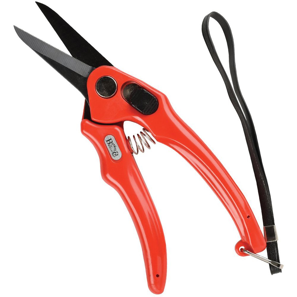 Hoof Snips Footrot Shears 19cm Serrated Blade