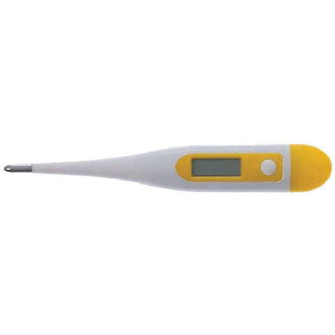 Thermometer Digital Small